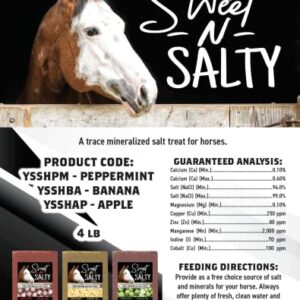 Kalmbach Feeds Sweet N Salty Banana Flavored Salt Treat Brick for Horses, 4 lb