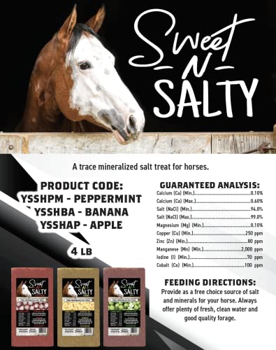 Kalmbach Feeds Sweet N Salty Banana Flavored Salt Treat Brick for Horses, 4 lb