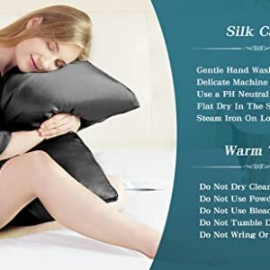 Silk Pillowcase for Hair and Skin with Hidden Zipper, Natural Mulberry Silk Pillowcase+Silk Eyemask, Queen 20''x30'' Both Side Allergen Proof Soft Smooth 20 Momme 600 Thread Count Silk Pillow Cover