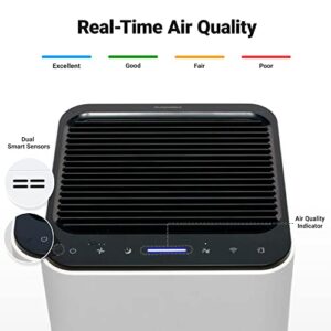 Winix XLC Dual 4-Stage True HEPA Air Purifier with WiFi & PlasmaWave Technology, 620 sq ft