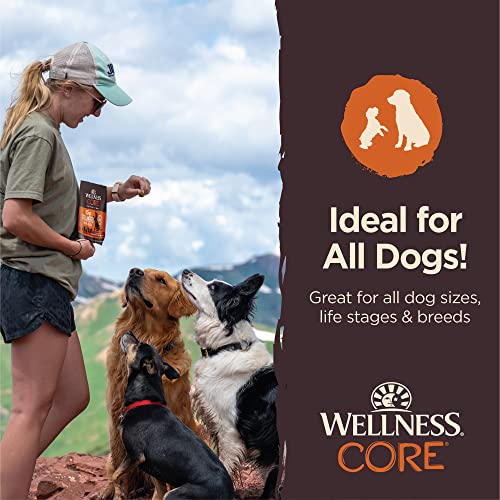 Wellness CORE Soft Tiny Trainers (Previously Petite Treats), Natural Grain-Free Dog Treats for Training, Made with Real Meat, No Artificial Flavors (Turkey & Pomegranate, 6 Ounce Bag)