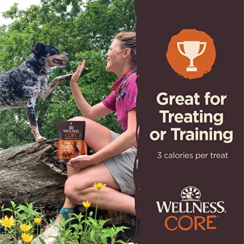 Wellness CORE Soft Tiny Trainers (Previously Petite Treats), Natural Grain-Free Dog Treats for Training, Made with Real Meat, No Artificial Flavors (Turkey & Pomegranate, 6 Ounce Bag)