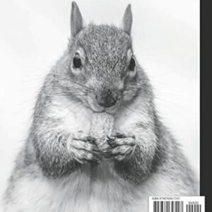 Squirrel Composition Notebook: Cute Squirrel Wide Ruled Composition Notebook 110 Pages. A Workbook For Kids, Teens, Students And Adults