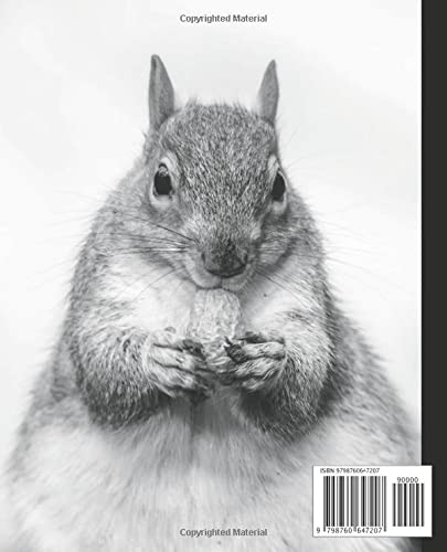 Squirrel Composition Notebook: Cute Squirrel Wide Ruled Composition Notebook 110 Pages. A Workbook For Kids, Teens, Students And Adults