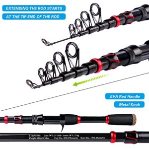 Fishing Rod and Reel Combo, 6.9ft Telescopic Spincast Rod with Right Handed Baitcasting Reel Combos, Sea Saltwater Freshwater Ice Bass Fishing Tackle Set Fishing Rods Kit