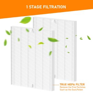 C545 True HEPA Replacement Filter S Compatible with Winix C545 Air Purifier, Replaces Winix S Filter 1712-0096-00, 2 Pack HEPA Filtrer only