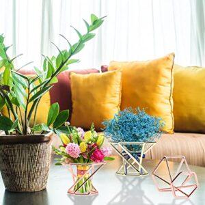 SanSanYa 12Pieces Mini Air Plant Stand Metal Geometric Air Plant Display Stand Geometric Air Plant Container Mini Air Plant Holders