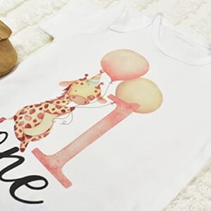 Giraffe Birthday Shirt, Safari First Birthday Outfit for Girl, One Birthday Shirt Baby Girl (12M Short Sleeve White T-Shirt)