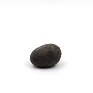 WW Will and Weaves Shaligram Shila Natural Stone Laxmi Narayan Abhimantrit Shree Shaligram with Box