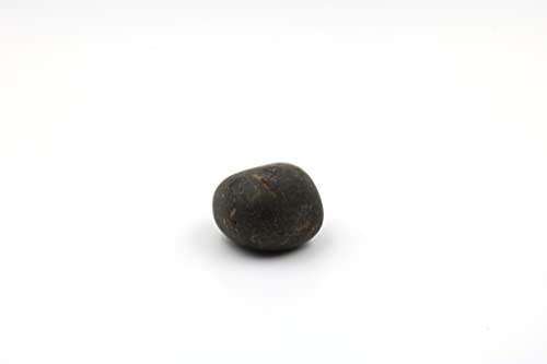 WW Will and Weaves Shaligram Shila Natural Stone Laxmi Narayan Abhimantrit Shree Shaligram with Box