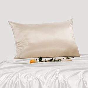 promeed highest grade 6a mulberry silk pillowcase 25 momme for hair and skin, both sides premium pure silk, anti-allergy, anti-frizz (queen 20"x30", champagne)