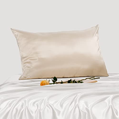 PROMEED Highest Grade 6A Mulberry Silk Pillowcase 25 Momme for Hair and Skin, Both Sides Premium Pure Silk, Anti-Allergy, Anti-Frizz (Queen 20"x30", Champagne)