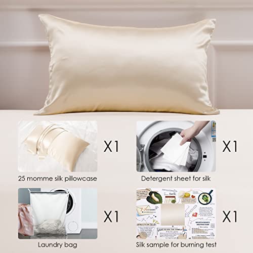 PROMEED Highest Grade 6A Mulberry Silk Pillowcase 25 Momme for Hair and Skin, Both Sides Premium Pure Silk, Anti-Allergy, Anti-Frizz (Queen 20"x30", Champagne)