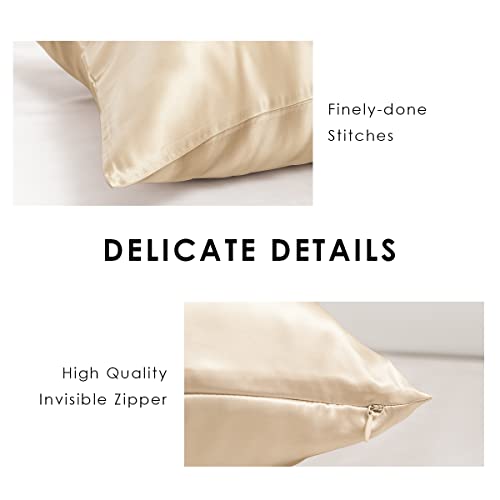 PROMEED Highest Grade 6A Mulberry Silk Pillowcase 25 Momme for Hair and Skin, Both Sides Premium Pure Silk, Anti-Allergy, Anti-Frizz (Queen 20"x30", Champagne)