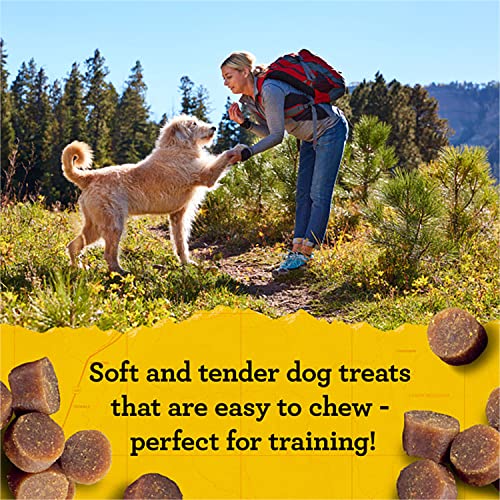 Zuke's Mini Naturals Dog Training Treats, Chicken Recipe, Soft & Tender Mini Dog Treats with Vitamins & Minerals, for All Breed Sizes, 6 OZ Bag (Pack of 3)