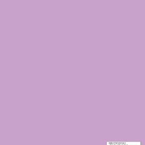 Notebook: Unlined/Plain Notebook - Large (8.5 x 11 inches) - 100 Pages - Lilac Cover