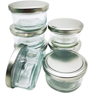 delove 2.5 oz small glass condiment containers with lids - salad dressing container to go - dipping sauce cups set - leak proof reusable sauce containers for lunch box - 7pack (sliver)