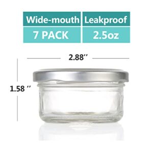 Delove 2.5 oz Small Glass Condiment Containers with Lids - Salad Dressing Container to Go - Dipping Sauce Cups Set - Leak proof Reusable Sauce Containers for Lunch Box - 7pack (Sliver)