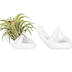 dingq 2 pack air plant holder,hand shape stand,cute levitating plant container,pot tillandsia planter for home decoration, white (fza500116)