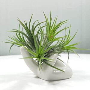 Dingq 2 Pack Air Plant Holder,Hand Shape Stand,Cute Levitating Plant Container,Pot Tillandsia Planter for Home Decoration, White (fZa500116)