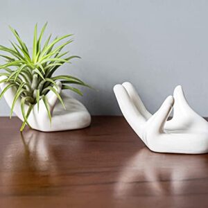 Dingq 2 Pack Air Plant Holder,Hand Shape Stand,Cute Levitating Plant Container,Pot Tillandsia Planter for Home Decoration, White (fZa500116)