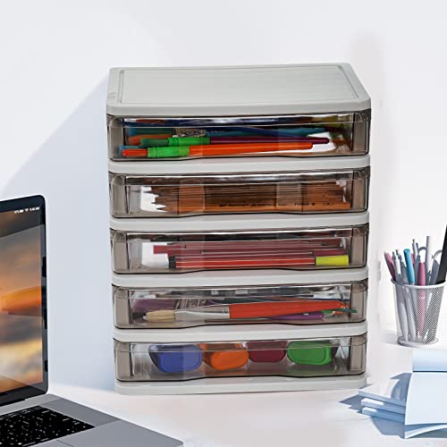 DEAYOU 5 Drawer Desktop Storage Bin Unit, Small Plastic Organizer, White Frame with Clear Drawer, Mini Container Case for Desk, Storing Craft, Accessory, Stationery