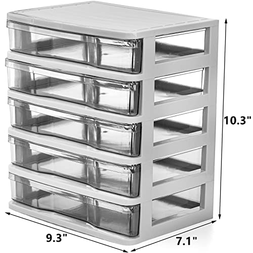 DEAYOU 5 Drawer Desktop Storage Bin Unit, Small Plastic Organizer, White Frame with Clear Drawer, Mini Container Case for Desk, Storing Craft, Accessory, Stationery