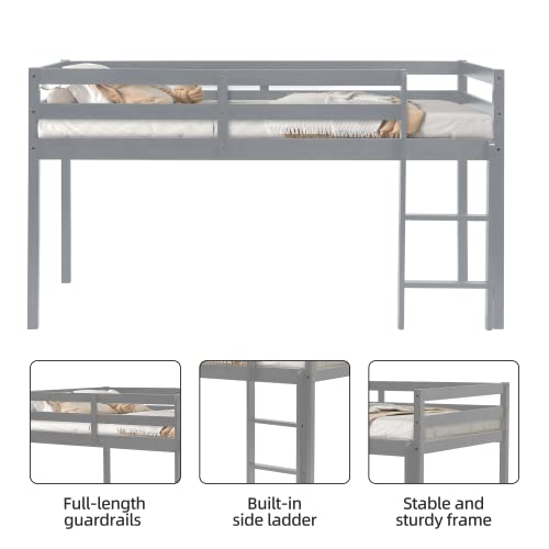 LoLado Loft Bed Twin,Loft Bed for Kids with Ladders and Guard Rails,Solid Wood and Sturdy Low Loft Bed Frame for Boys Girls and Junior,No Box Spring Needed,Easy to Assembly,Twin(Grey)