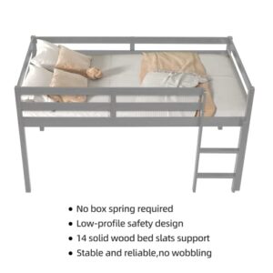 LoLado Loft Bed Twin,Loft Bed for Kids with Ladders and Guard Rails,Solid Wood and Sturdy Low Loft Bed Frame for Boys Girls and Junior,No Box Spring Needed,Easy to Assembly,Twin(Grey)
