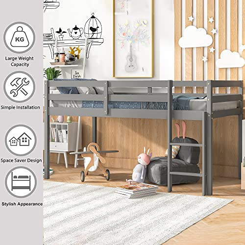 LoLado Loft Bed Twin,Loft Bed for Kids with Ladders and Guard Rails,Solid Wood and Sturdy Low Loft Bed Frame for Boys Girls and Junior,No Box Spring Needed,Easy to Assembly,Twin(Grey)