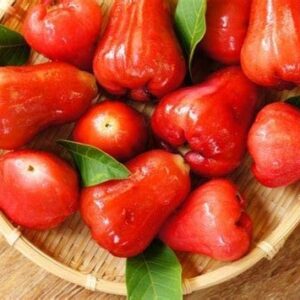 MITRAEE 100 Rose Apple Fruit Seeds