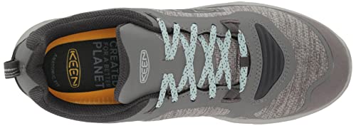 KEEN Women's Terradora Flex Low Height Waterproof Hiking Shoes, Steel Grey/Cloud Blue, 7