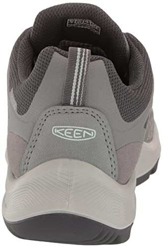 KEEN Women's Terradora Flex Low Height Waterproof Hiking Shoes, Steel Grey/Cloud Blue, 7