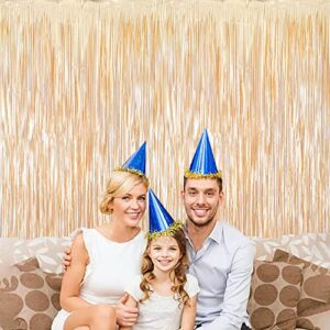 LILF 2 Pack of 3.3ft x 8.3ft Matte Metallic Foil Fringe Curtain for Birthday Party Wedding Bridal Baby Shower Photo Booth Backdrop Christmas Home Decoration Props (Matte Gold)