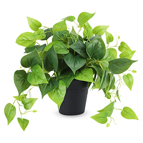 JPSOR Faux Plants for Home Décor, Small Indoor Fake/Artificial Potted Plants Pothos with Black Plastic Pot for Outdoor Living Room Bedroom Office Garden