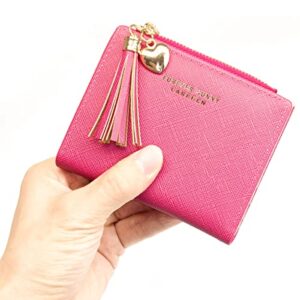 Womens Small Wallet Mini Purse Bifold Slim Card Case Holder Zipper Coin Pocket (Barbie Pink)