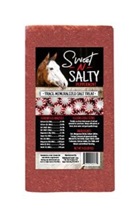 kalmbach feeds sweet n salty peppermint flavored salt treat brick for horses, 4 lb