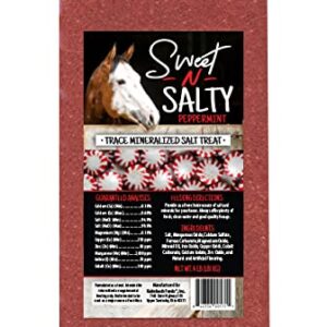 Kalmbach Feeds Sweet N Salty Peppermint Flavored Salt Treat Brick for Horses, 4 lb