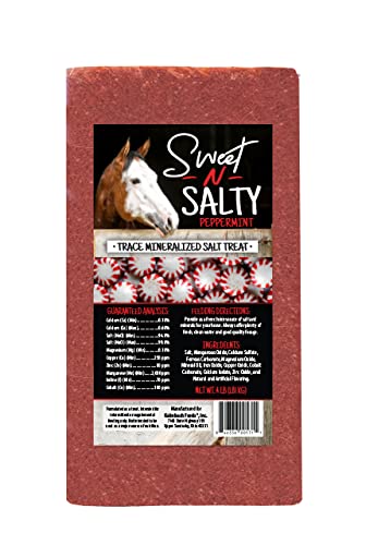 Kalmbach Feeds Sweet N Salty Peppermint Flavored Salt Treat Brick for Horses, 4 lb