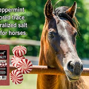 Kalmbach Feeds Sweet N Salty Peppermint Flavored Salt Treat Brick for Horses, 4 lb