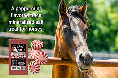 Kalmbach Feeds Sweet N Salty Peppermint Flavored Salt Treat Brick for Horses, 4 lb