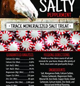 Kalmbach Feeds Sweet N Salty Peppermint Flavored Salt Treat Brick for Horses, 4 lb