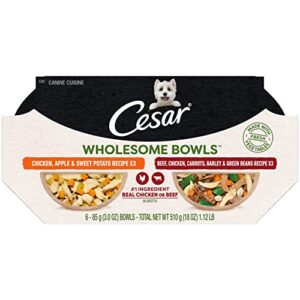 cesar wholesome bowls adult soft wet dog food variety pack, beef, chicken, carrots, barley & green beans recipe and chicken, apple & sweet potato recipe, (6) 3 oz. bowls
