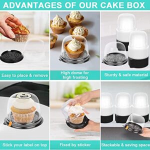 Cupcake Boxes, Individual Cake Container, 100 Pcs Single Disposable Clear Plastic Deep Dome Cupcakes Holders with Lid for Home Shop Party Birthday Wedding Holiday, Cookie Cakes Brownie Storage Carrier