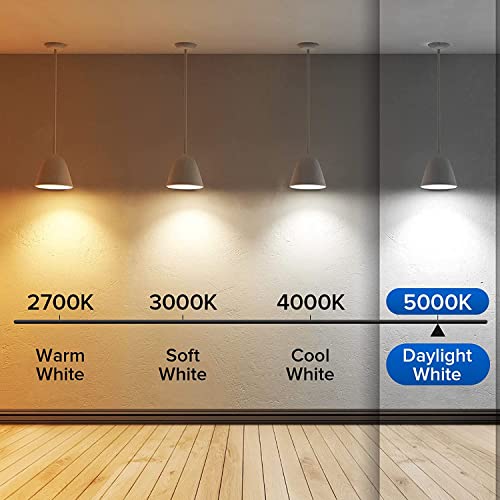 SANSI 60W Equivalent LED Light Bulbs, 22-Year Lifetime, 4 Pack 900 Lumens LED Bulbs with Ceramic Technology, 5000K Daylight 9W Non-Dimmable, E26, A15 Efficient & Safe Energy Saving for Home Lighting