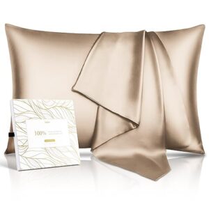 100% pure mulberry silk pillowcase for hair & skin - 22 momme 6a high-grade fibers - anti-aging, anti-sleep crease, cooling satin pillowcases with hidden zipper, best gift idea (queen 20x30 inches)
