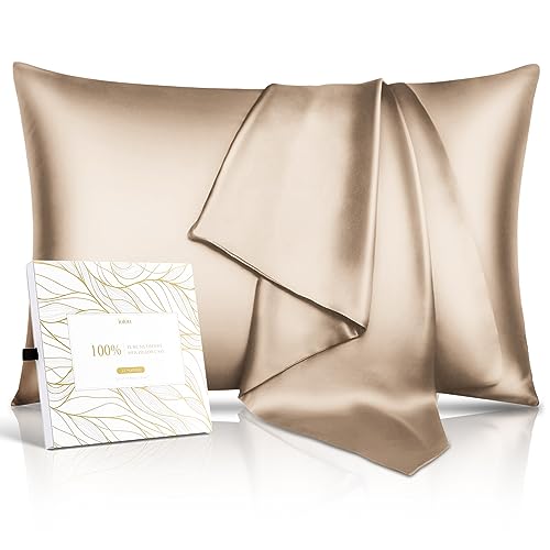 100% Pure Mulberry Silk Pillowcase for Hair & Skin - 22 Momme 6A High-Grade Fibers - Anti-Aging, Anti-Sleep Crease, Cooling Satin Pillowcases with Hidden Zipper, Best Gift Idea (Queen 20x30 Inches)