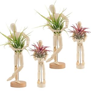 4 pcs wooden jointed mannequin air plant holder - tabletop air plant stand in 2 sizes, tillandsia air plant display container with adjustable poses for diy home office decoration housewarming gifts