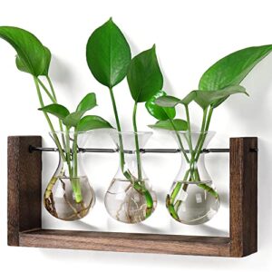 yibot plants propagation stations plant terrarium with wooden stand wall hanging glass planter desktop plant propagation vase for indoor office home garden decor birthday gifts for women
