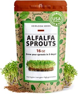 alfalfa sprout seeds for sprouting and microgreens (16oz) premium usa alfalfa seeds indoor or outdoor planting sprouts | non-gmo | micro greens seed in resealable bag